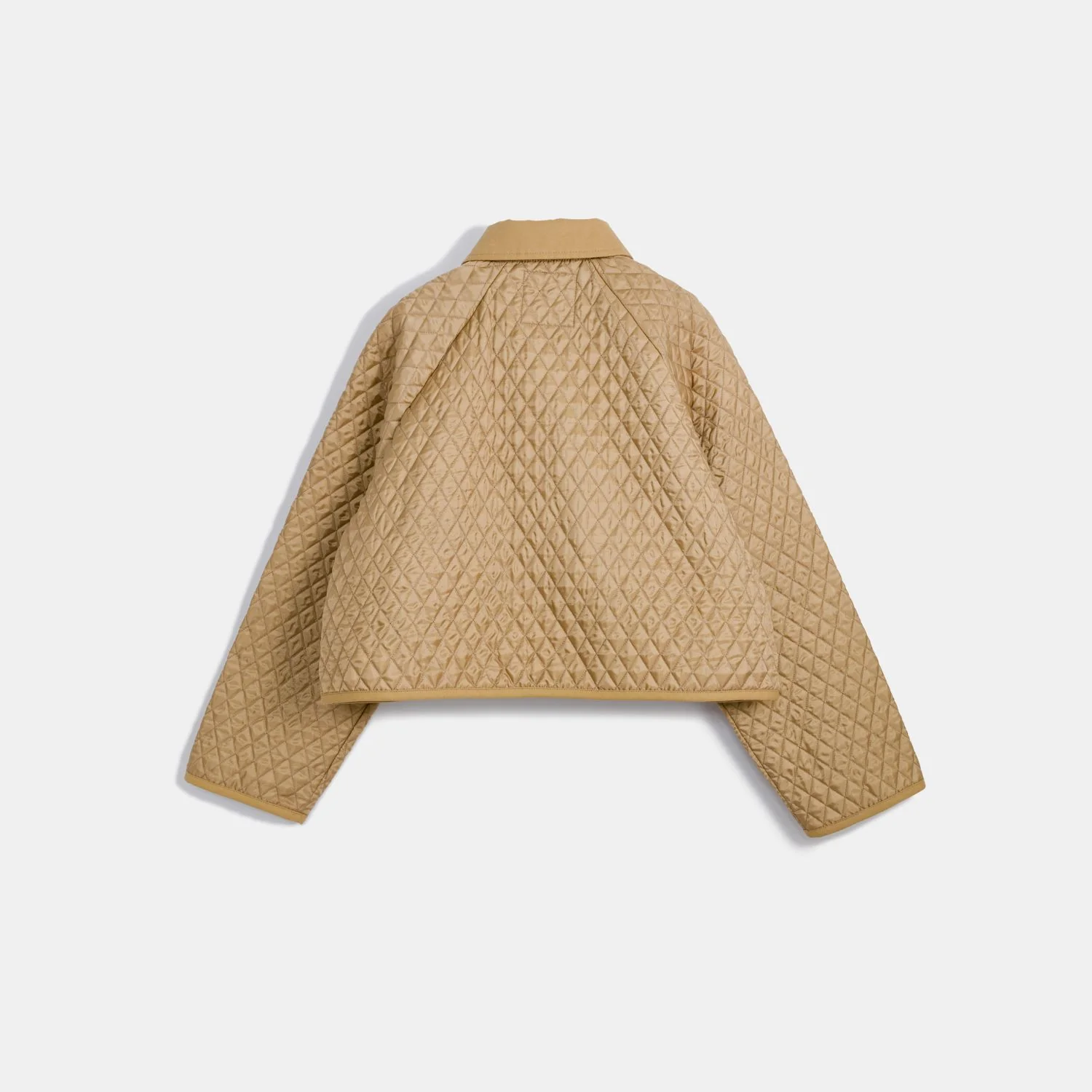 Black Edition Raglan Sleeve Cropped Teynham - Image 5